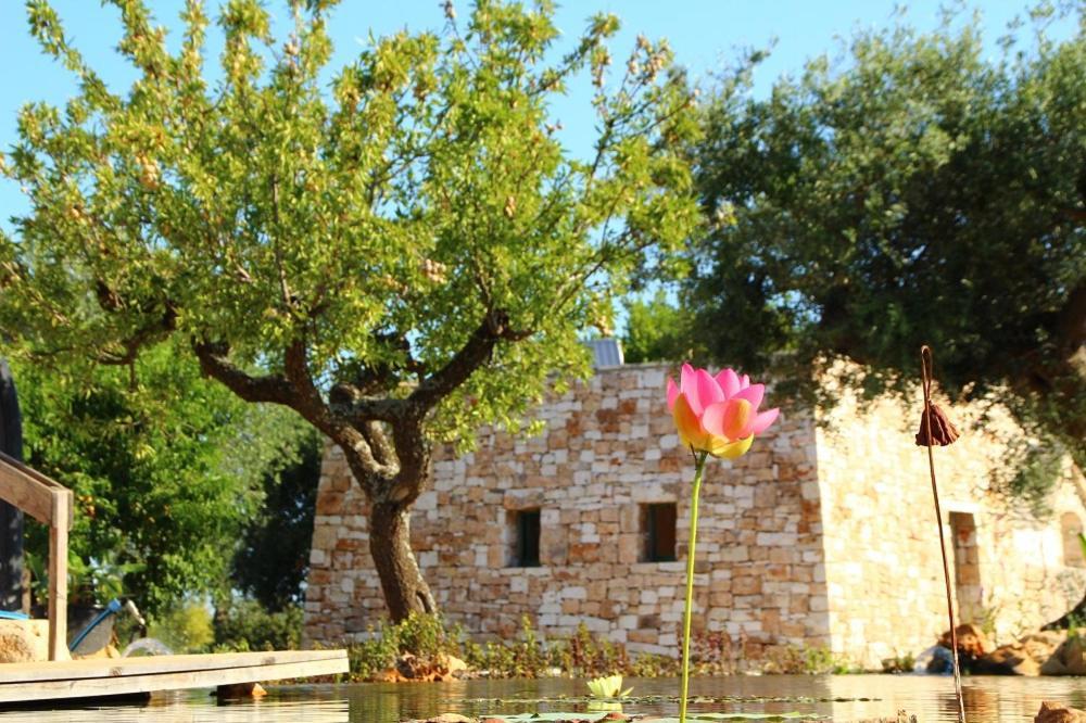Il Fiore Della Vita Trulli Country House Conversano Exterior foto